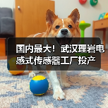 国内最大！武汉理岩电感式传感器工厂投产（图3）