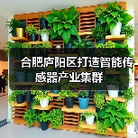 合肥庐阳区打造智能传感器产业集群（图4）