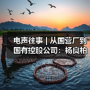 电声往事 | 从国营厂到国有控股公司:杨良柏先生访谈(三)(图3) 电声往事 | 从国营厂到国有控股公司:杨良柏先生访谈(三)(图3)