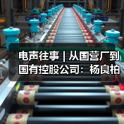 电声往事 | 从国营厂到国有控股公司:杨良柏先生访谈(三)(图1) 电声往事 | 从国营厂到国有控股公司:杨良柏先生访谈(三)(图1)