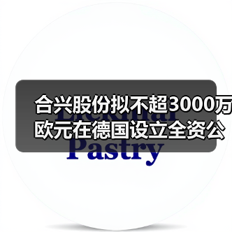 合兴股份拟不超3000万欧元在德国设立全资公司投建生产基地(图4) 合兴股份拟不超3000万欧元在德国设立全资公司投建生产基地(图4)