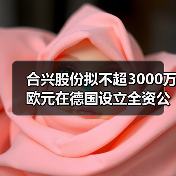 合兴股份拟不超3000万欧元在德国设立全资公司投建生产基地(图1) 合兴股份拟不超3000万欧元在德国设立全资公司投建生产基地(图1)