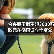 合兴股份拟不超3000万欧元在德国设立全资公司投建生产基地(图2) 合兴股份拟不超3000万欧元在德国设立全资公司投建生产基地(图2)