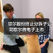 歌尔股份终止分拆子公司歌尔微电子上市（图2）