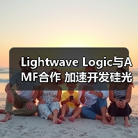 Lightwave Logic与AMF合作 加速开发硅光调制器(图4) Lightwave Logic与AMF合作 加速开发硅光调制器(图4)
