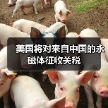 美国将对来自中国的永磁体征收关税(图1) 美国将对来自中国的永磁体征收关税(图1)