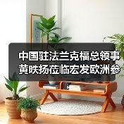 中国驻法兰克福总领事黄昳扬莅临宏发欧洲参观考察（图4）