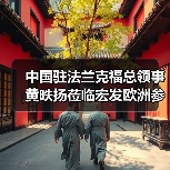 中国驻法兰克福总领事黄昳扬莅临宏发欧洲参观考察（图3）