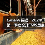 Canalys数据：2024年第一季度全球TWS重点市场厂商排名（图1）