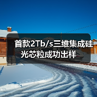 首款2Tb/s三维集成硅光芯粒成功出样(图3) 首款2Tb/s三维集成硅光芯粒成功出样(图3)