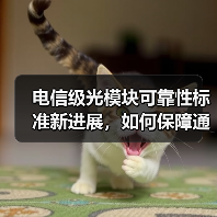 电信级光模块可靠性标准新进展,如何保障通信稳定?(图3) 电信级光模块可靠性标准新进展,如何保障通信稳定?(图3)
