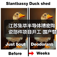 江苏集萃半导体精密陶瓷部件项目开工 国产替代迈出关键一步（图2）