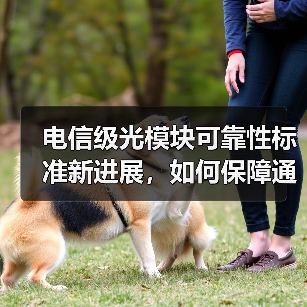 电信级光模块可靠性标准新进展,如何保障通信稳定?(图4) 电信级光模块可靠性标准新进展,如何保障通信稳定?(图4)
