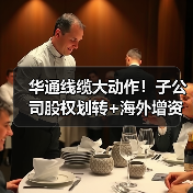 华通线缆大动作!子公司股权划转+海外增资布局全球(图4) 华通线缆大动作!子公司股权划转+海外增资布局全球(图4)