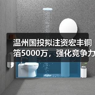 温州国投拟注资宏丰铜箔5000万，强化竞争力（图3）