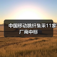 中国移动跳纤集采11家厂商中标(图2) 中国移动跳纤集采11家厂商中标(图2)