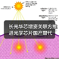 长光华芯增资关联方推进光学芯片国产替代（图2）