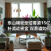 东山精密定增募资15亿补流动资金 双赛道如何布局?(图2) 东山精密定增募资15亿补流动资金 双赛道如何布局?(图2)