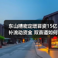 东山精密定增募资15亿补流动资金 双赛道如何布局?(图4) 东山精密定增募资15亿补流动资金 双赛道如何布局?(图4)