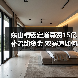 东山精密定增募资15亿补流动资金 双赛道如何布局?(图1) 东山精密定增募资15亿补流动资金 双赛道如何布局?(图1)