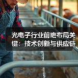 光电子行业前瞻布局关键:技术创新与供应链安全并重(图1) 光电子行业前瞻布局关键:技术创新与供应链安全并重(图1)