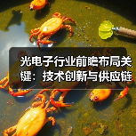 光电子行业前瞻布局关键:技术创新与供应链安全并重(图4) 光电子行业前瞻布局关键:技术创新与供应链安全并重(图4)