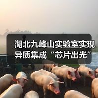 湖北九峰山实验室实现异质集成“芯片出光”(图4) 湖北九峰山实验室实现异质集成“芯片出光”(图4)