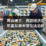 两会建言:民营经济高质量发展关键在法治保障(图4) 两会建言:民营经济高质量发展关键在法治保障(图4)