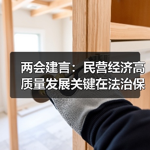 两会建言:民营经济高质量发展关键在法治保障(图2) 两会建言:民营经济高质量发展关键在法治保障(图2)