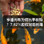 亨通光电为何出手收购?7.82%股权背后的海洋通信布局(图4) 亨通光电为何出手收购?7.82%股权背后的海洋通信布局(图4)