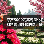 原产5000吨高纯氮化物材料落地呼和浩特，推动电子陶瓷产业升级（图1）