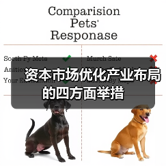 资本市场优化产业布局的四方面举措(图2) 资本市场优化产业布局的四方面举措(图2)