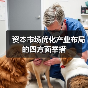 资本市场优化产业布局的四方面举措(图4) 资本市场优化产业布局的四方面举措(图4)