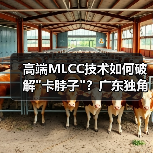 高端MLCC技术如何破解