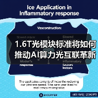 1.6T光模块标准将如何推动AI算力光互联革新(图4) 1.6T光模块标准将如何推动AI算力光互联革新(图4)