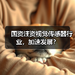 国资注资视觉传感器行业，加速发展？（图4）