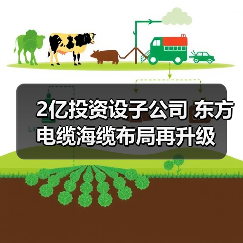 2亿投资设子公司 东方电缆海缆布局再升级（图3）
