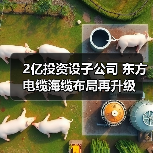 2亿投资设子公司 东方电缆海缆布局再升级（图1）
