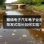 顺络电子汽车电子业务爆发式增长如何实现？（图1）