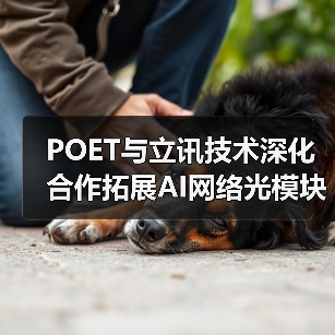 POET与立讯技术深化合作拓展AI网络光模块供应（图3）