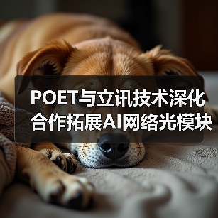 POET与立讯技术深化合作拓展AI网络光模块供应（图4）