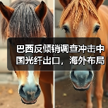 巴西反倾销调查冲击中国光纤出口,海外布局风险升级?(图4) 巴西反倾销调查冲击中国光纤出口,海外布局风险升级?(图4)
