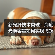 新光纤技术突破：海底光缆容量如何实现飞跃？（图2）