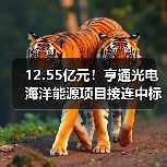12.55亿元！亨通光电海洋能源项目接连中标，技术实力如何？（图2）