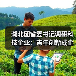 湖北团省委书记调研科技企业:青年创新成企业发展新引擎(图4) 湖北团省委书记调研科技企业:青年创新成企业发展新引擎(图4)