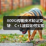 800G传输技术验证突破：C+L波段如何实现超高速网络演进（图3）