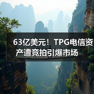 63亿美元!TPG电信资产遭竞拍引爆市场(图4) 63亿美元!TPG电信资产遭竞拍引爆市场(图4)