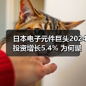 日本电子元件巨头2024投资增长5.4% 为何聚焦汽车电气化？（图4）