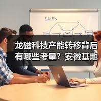 龙磁科技产能转移背后有哪些考量？安徽基地能否助力降本？（图4）