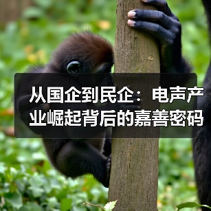 从国企到民企：电声产业崛起背后的嘉善密码（图4）